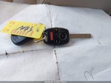 Miniaturka zdjęcia 11