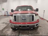 Ford F-150 Fx4/Harley-Davidson/King Ranch/Lariat/Platinum/Xl/Xlt 1FTFW1EV3AKB59572 fotografie