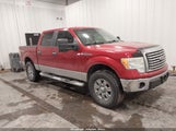 Ford F-150 Fx4/Harley-Davidson/King Ranch/Lariat/Platinum/Xl/Xlt 1FTFW1EV3AKB59572 fotografie