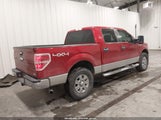 Ford F-150 Fx4/Harley-Davidson/King Ranch/Lariat/Platinum/Xl/Xlt 1FTFW1EV3AKB59572 fotografie