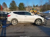 Hyundai Santa Fe Sport 2.0L Turbo 5XYZWDLA1FG264834 fotografie