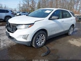 Chevrolet Equinox Ls 3GNAXSEV6KS599683 снимка