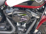 Harley-Davidson Flhcs 1HD1YBK10LB030606 снимка