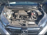 Miniaturka zdjęcia 10