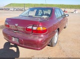 Miniaturka zdjęcia 4