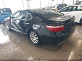 Lexus Ls 460 JTHBL46F785073138 photo