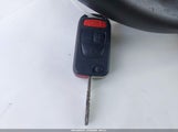 Miniaturka zdjęcia 11