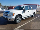 Ford F-150 Xlt 1FTFW1CF2DKD93167 снимка