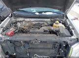 Miniaturka zdjęcia 10