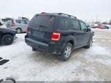 Ford Escape Xlt 1FMCU03759KA81181 снимка