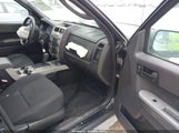 Ford Escape Xlt 1FMCU03759KA81181 снимка