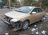 Toyota Corolla Le 2T1BU4EE6DC013534 fotografie