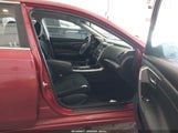 Miniaturka zdjęcia 5