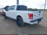 Ford F-150 Xlt 1FTEW1EP6GKE73531 снимка