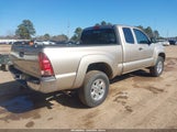 Toyota Tacoma Prerunner V6 5TETU62N67Z449786 photo
