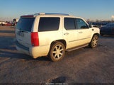 Cadillac Escalade Standard 1GYFK23239R110105 снимка