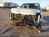 Cadillac Escalade Standard 1GYFK23239R110105 снимка