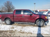 Ford F-150 Fx2 Sport/Xl/Xlt 1FTEW1C81AFD43121 photo