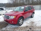Ford Escape Xlt 1FMCU0DGXBKB09805 снимка
