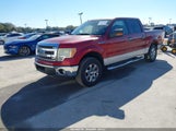 Ford F-150 Xlt 1FTFW1EF8EKF68844 снимка