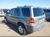 Ford Escape Xlt 1FMYU93165KA16873 снимка