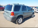 Ford Escape Xlt 1FMYU93165KA16873 снимка