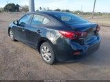 Miniaturka zdjęcia 3