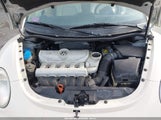 Volkswagen New Beetle 2.5L 3VWPG3AG4AM033988 снимка
