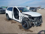 Jeep Grand Cherokee Limited 4X4 1C4RJFBG8LC444165 fotografie