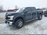Ford F-150 Xlt 1FTEW1E52KFB25841 снимка
