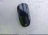 Miniaturka zdjęcia 11