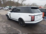 Land Rover Range Rover 3.0L V6 Turbocharged Diesel Td6 SALGR2FK7HA358686 fotografie