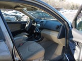 Miniaturka zdjęcia 5