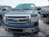 Ford F-150 Xlt 1FTFW1ET7DFD32022 снимка