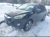 Hyundai Tucson Limited KM8JU3AG3FU057179 photo