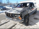 Miniaturka zdjęcia 6