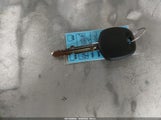 Miniaturka zdjęcia 11