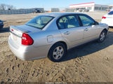 Chevrolet Malibu Ls 1G1ZT52895F107995 fotografie