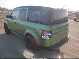 Miniaturka zdjęcia 3