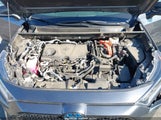 Miniaturka zdjęcia 10