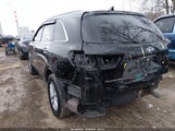 Miniaturka zdjęcia 6