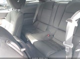 Miniaturka zdjęcia 8