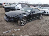 Ford Mustang V6 Deluxe/V6 Premium 1ZVFT84N175321156 снимка
