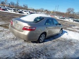 Miniaturka zdjęcia 4