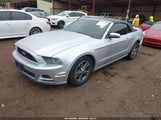 Miniaturka zdjęcia 2