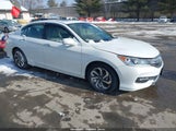Honda Accord Ex-L V-6 1HGCR3F04GA016154 photo