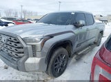 Toyota Tundra Platinum 5TFNA5DB8PX104510 снимка