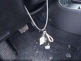 Miniaturka zdjęcia 11