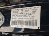 Miniaturka zdjęcia 9