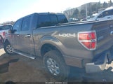 Ford F-150 Xlt 1FTFW1EF1DKE86727 снимка